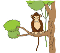Free Monkey Pictures Graphics Illustrations Free Download Clipart