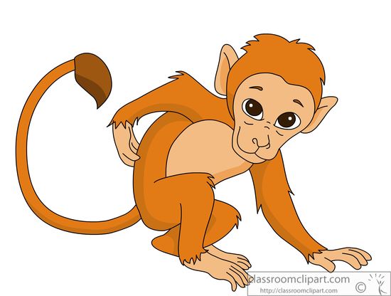Free Monkey Pictures Graphics Illustrations Png Image Clipart