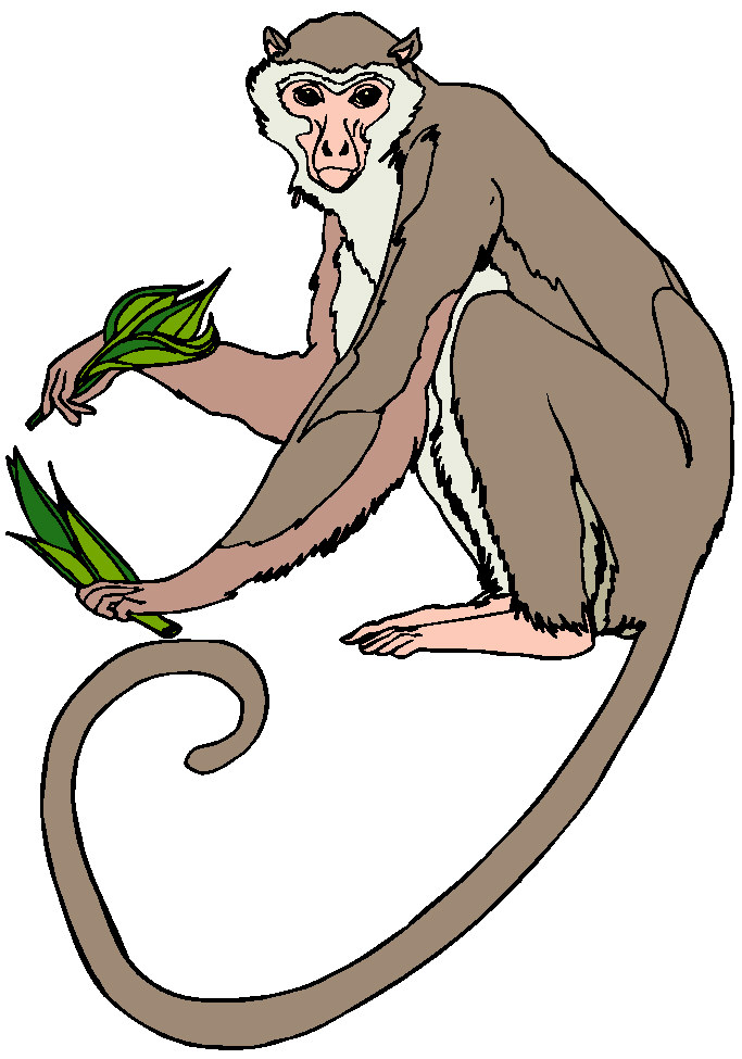 Free Printable Monkey Curious George Quality Clipart