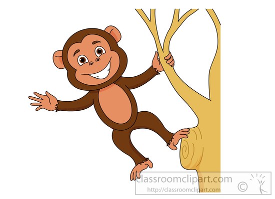 Search Results Search Results For Tamarin Monkey Clipart