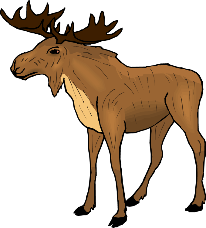 Moose Cartoon Images Download Png Clipart