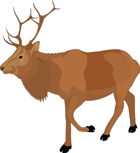 Cartoon Moose Images Image 9 Image Png Clipart