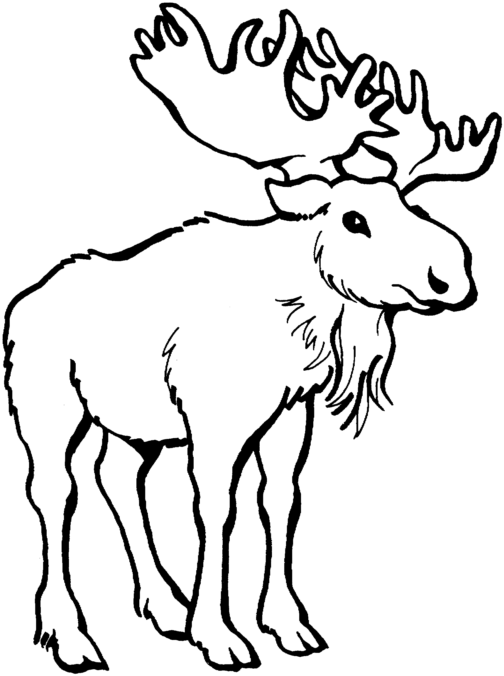 Free Moose The Transparent Image Clipart