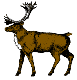 Free Deer Moose Png Images Clipart