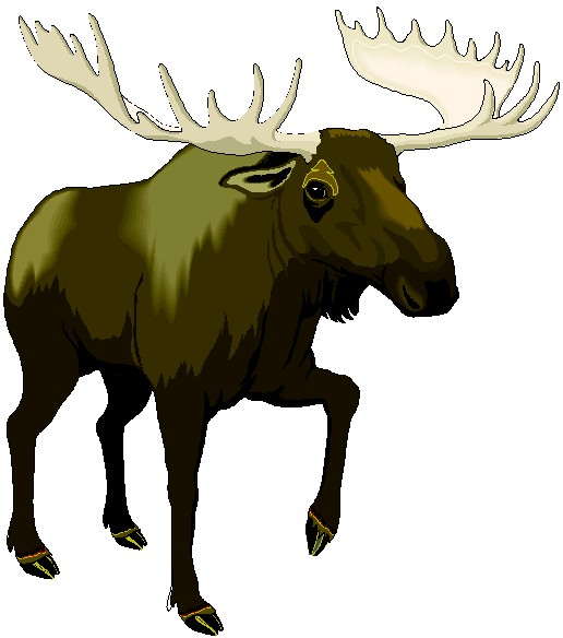 Moose Birthday Images Clipart Clipart