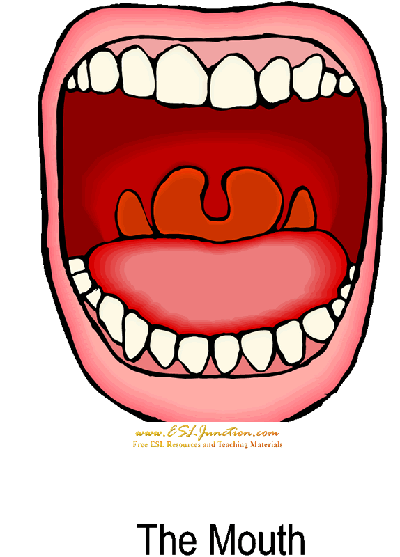 Mouth Images Png Images Clipart