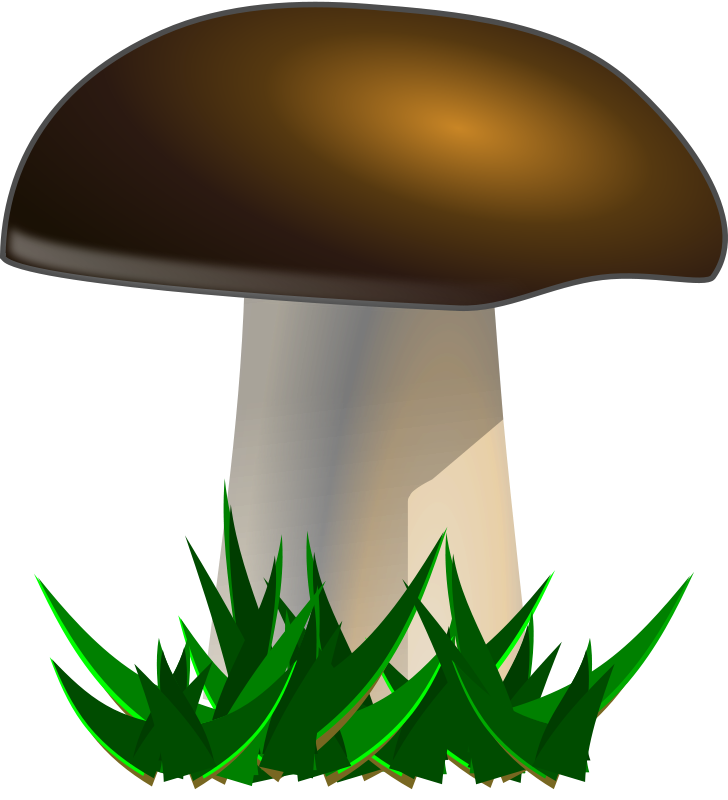 Mushroom The Png Image Clipart