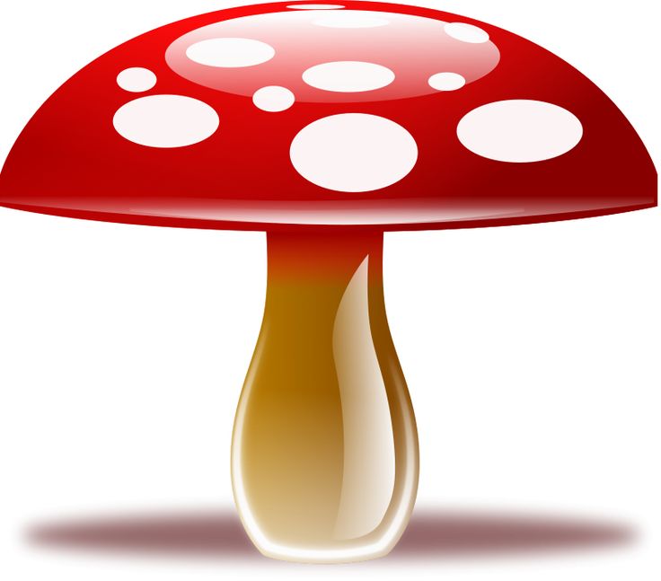 Mushroom Ideas On Images Download Png Clipart