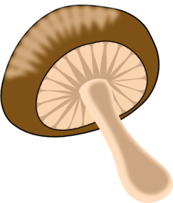 Wild Mushroom At Vector Transparent Image Clipart