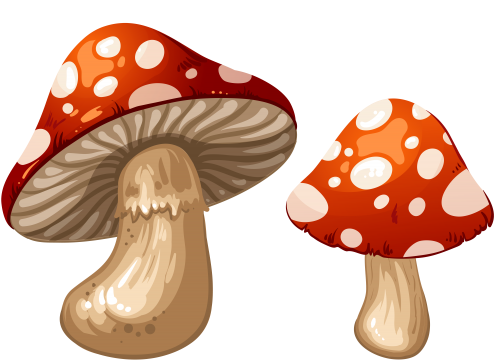 Mushrooms Biezumd Clipart Clipart