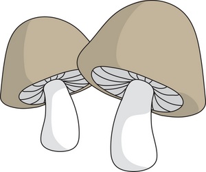 Mushroom Library Png Image Clipart