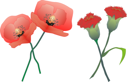 Carnations Clipart