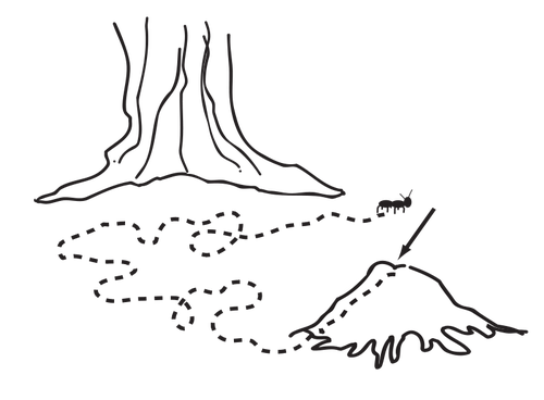 Ant Path Clipart