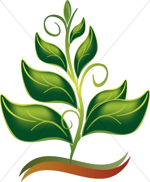 Nature Image Graphic Sharefaith Png Image Clipart