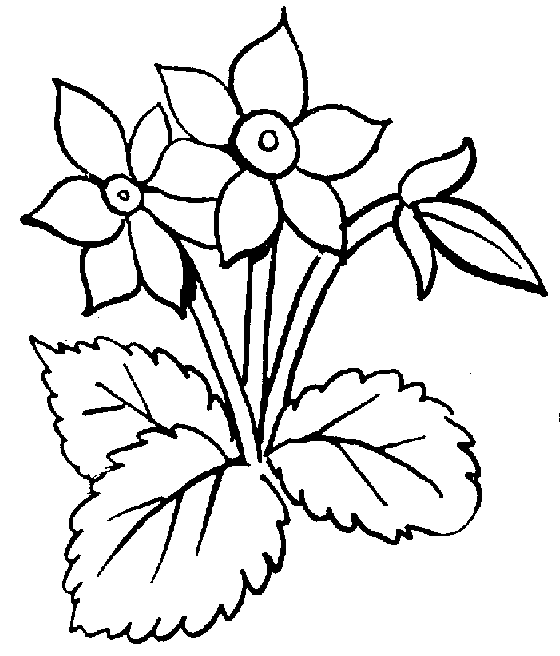 Black And White Nature Kid Clipart Clipart