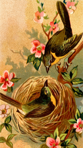 Birds In Nest Clipart