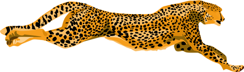 Leopard Cheetah Clipart