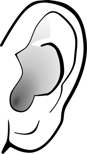 Grayscale Image Of Ear Clipart