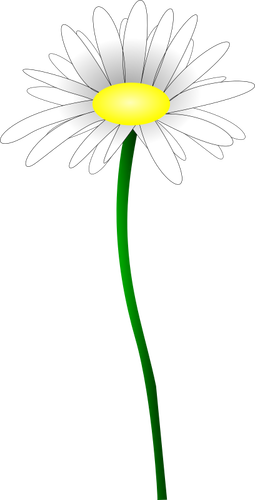 Simple Color Illustration Of A Simple Daisy Clipart
