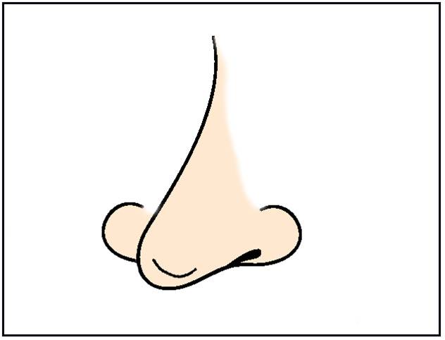 Clip Art Nose Free Download Clipart