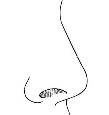 Nose Image Png Clipart