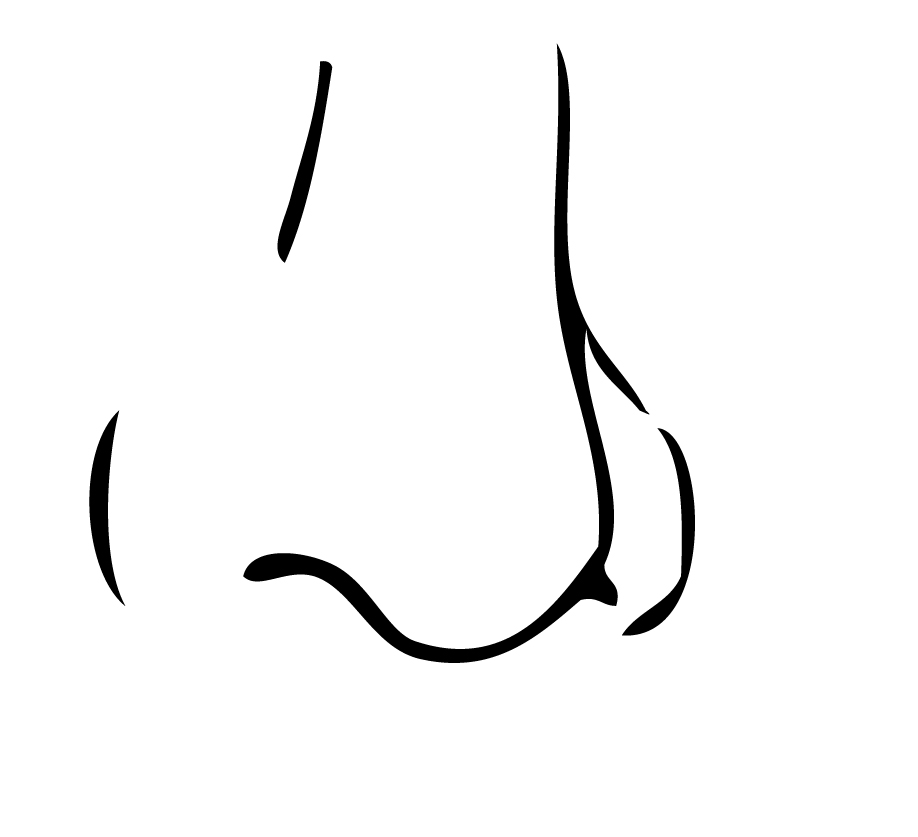 Nose Png Image Clipart