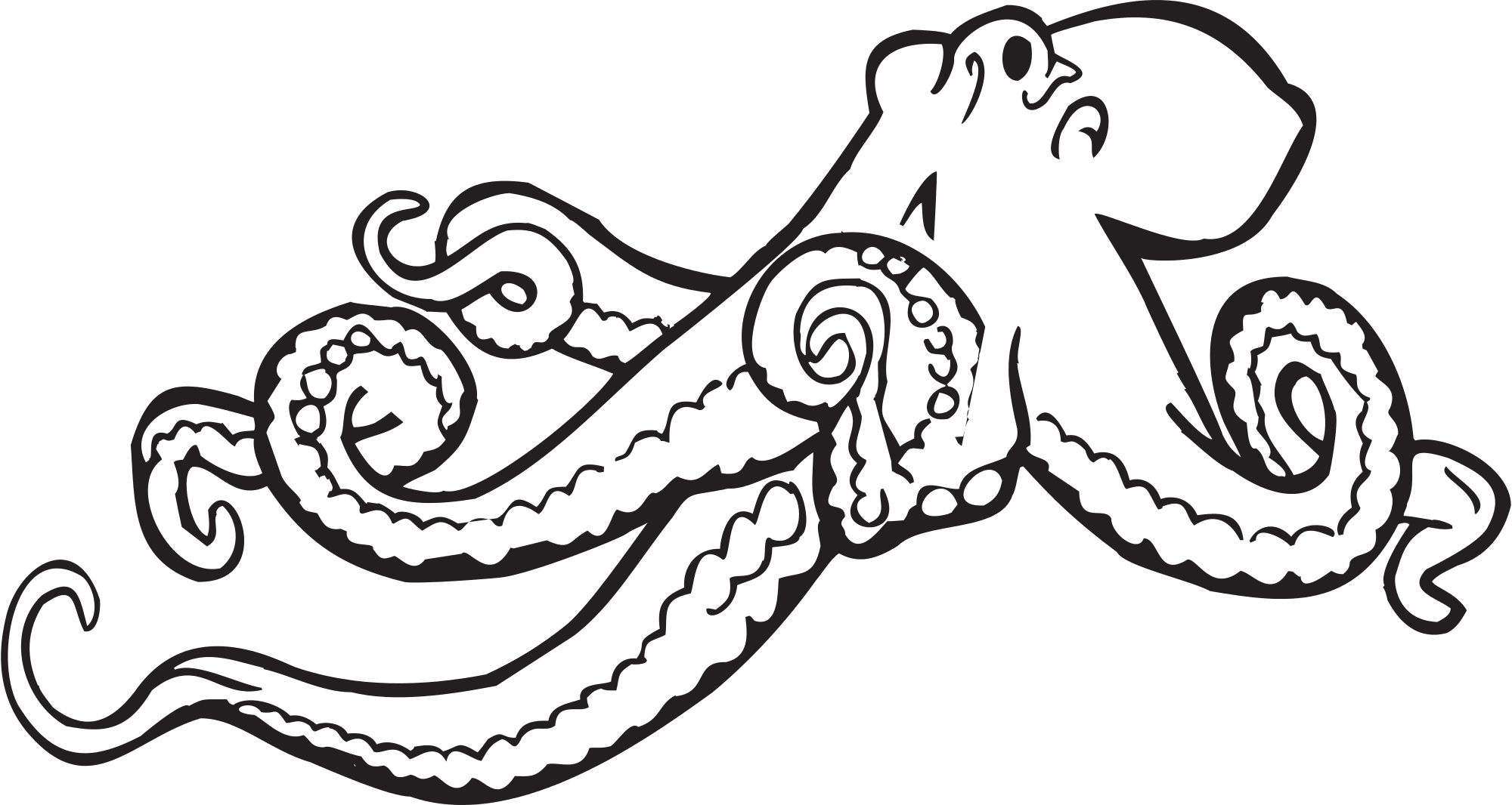 Octopus Illustrations 2 Octopus Vector Image Clipart
