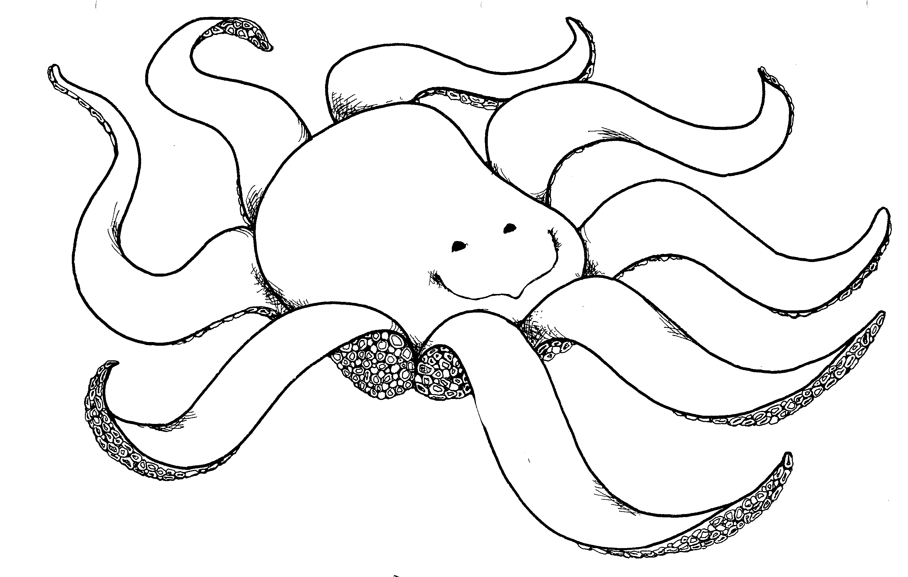 Black And White Octopus Kid Download Png Clipart