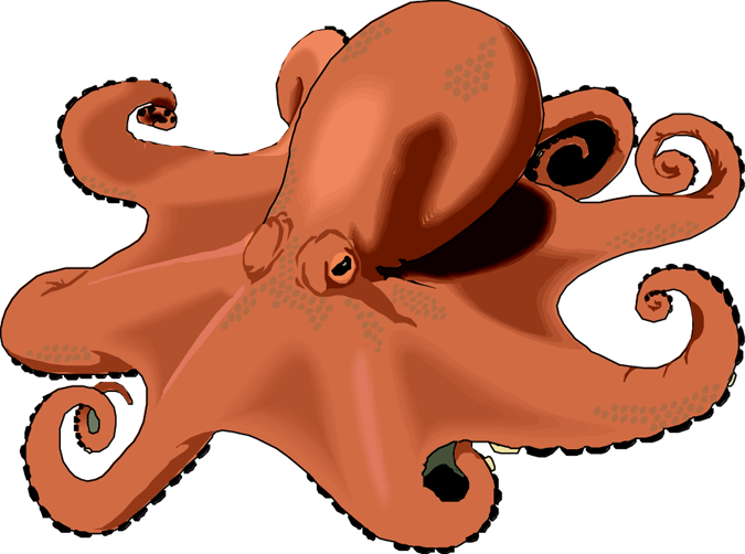 Octopus Images Free Download Png Clipart