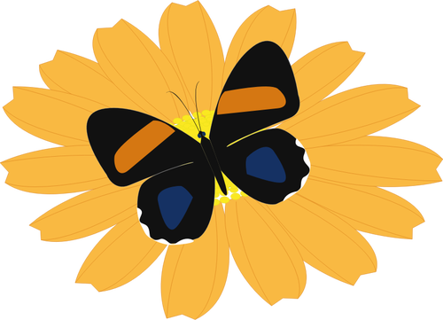 Graphics Of Black Butterfly On An Orange Flower Clipart