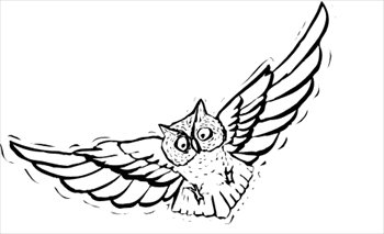 Free Owl Graphics Images And Photos Clipart