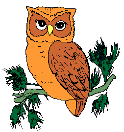 Free Owl Images Clipart Clipart