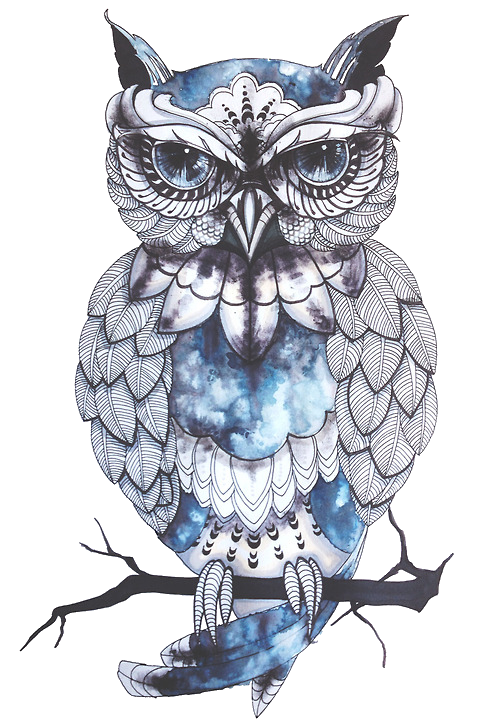 Owl Sleeve Tattoo Owls Baby Drawing Clipart