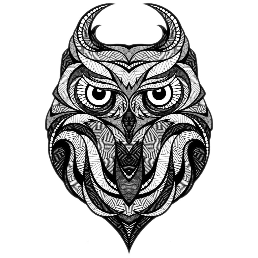 Owl Illustrator Drawing Illustration Tattoo Download HD PNG Clipart