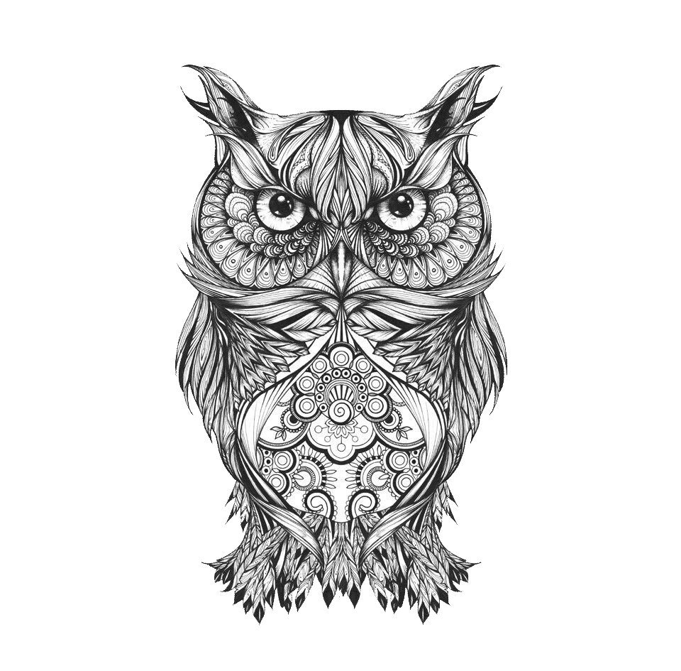 Body Owl Sketch Art Tattoo Drawing Clipart