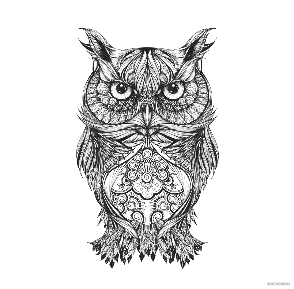 And Owl Arts Pattern National Sketch Visual Clipart