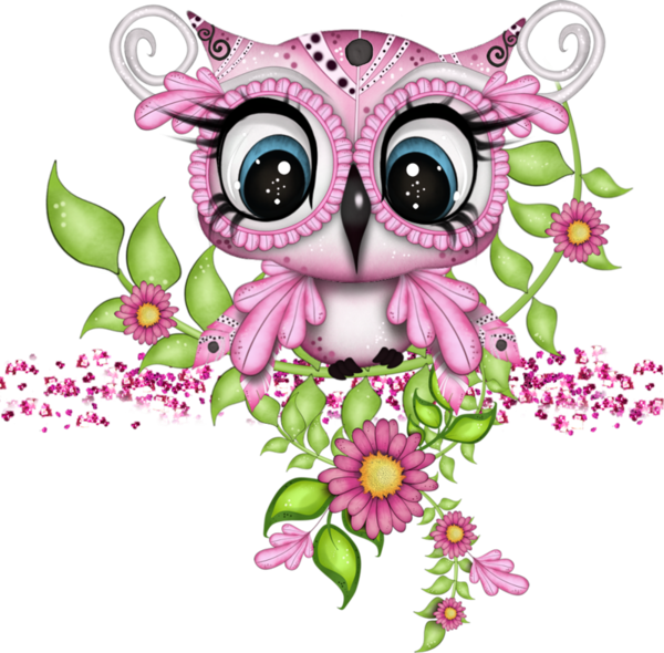 Owl Bird An PNG Download Free Clipart