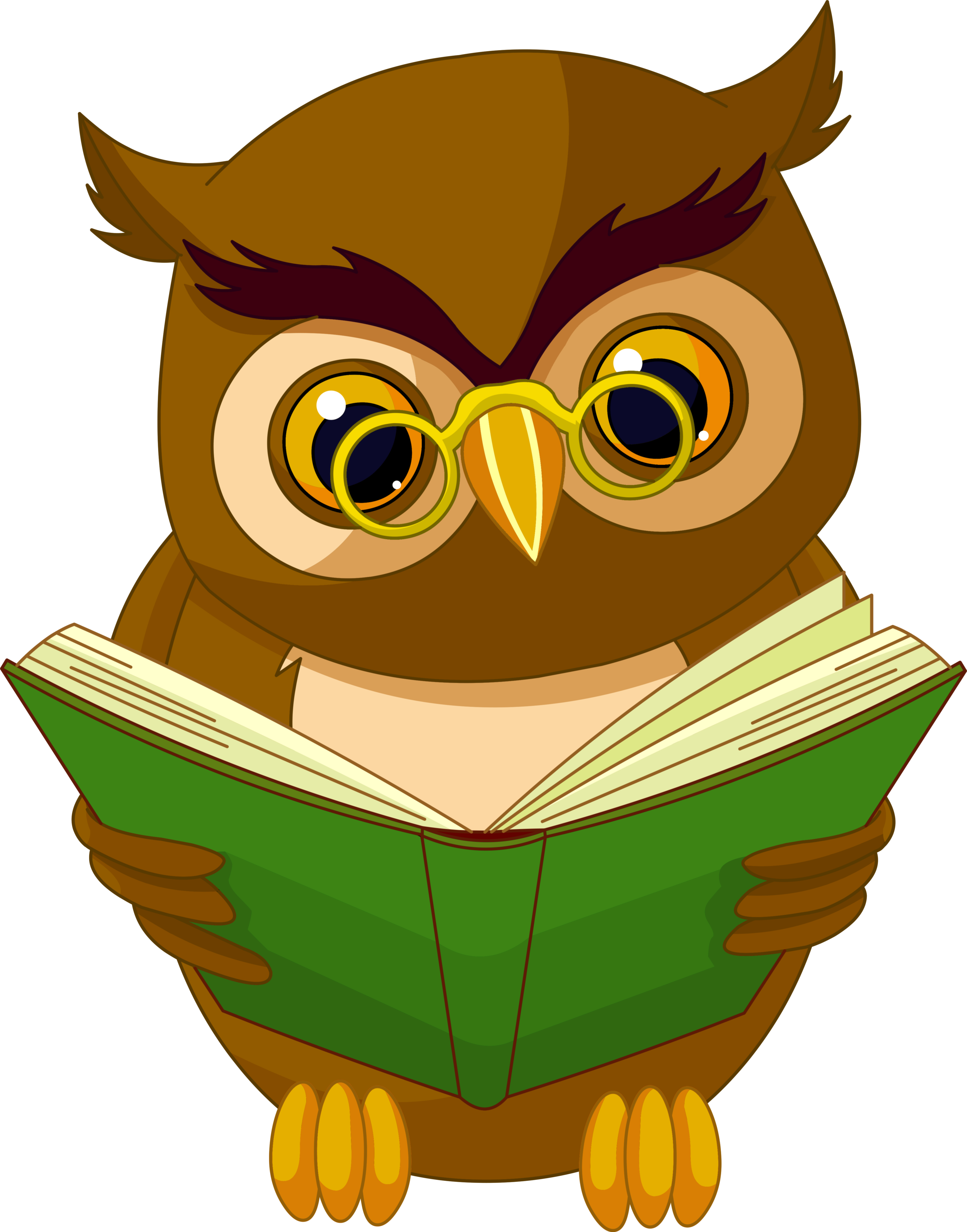 Owl Picture Transparent Book Animation Drawing Animated Clipart