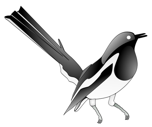 Drawing Of Oriental Magpie-Robin Clipart
