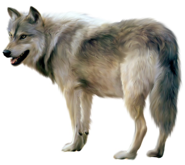 Painted Gray Wolf Free Transparent Image HD Clipart