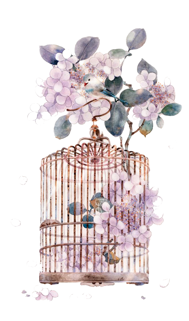 Art Chinese Cage Watercolor Miyou Asian Painting Clipart