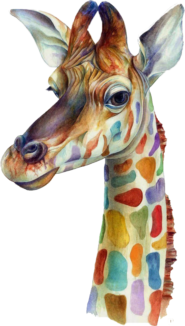 Watercolor Giraffe Plus Iphone 4S PNG Download Free Clipart