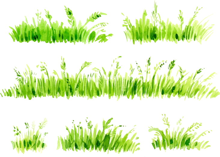 Watercolor Painted Grass Painting Free Transparent Image HD Clipart