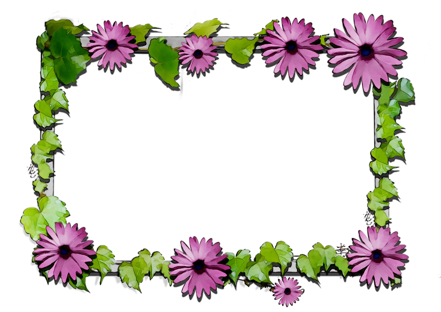 Floral Chrysanthemum Flowers Cut Design PNG Download Free Clipart