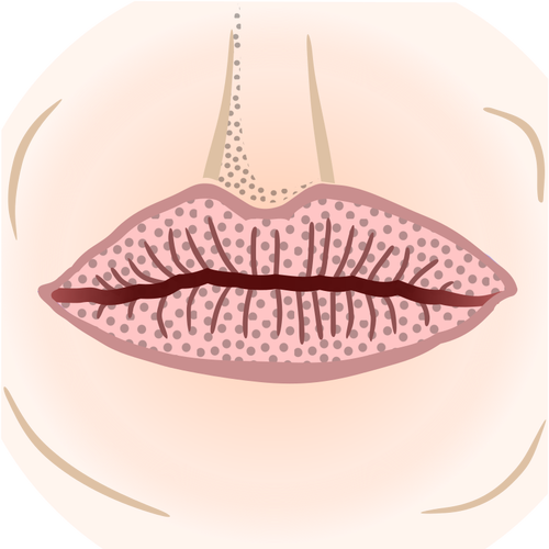 Colored Mouth Drawing Clipart
