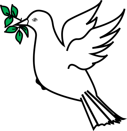 Dove And Olive Branch Drawing Clipart