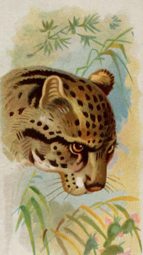 Painted Ocelot Clipart