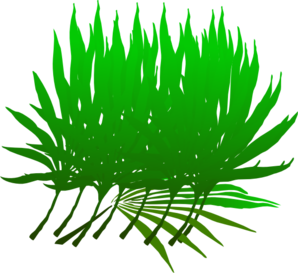Palm Sunday Branch At Vector Free Download Clipart