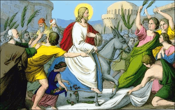 Palm Sunday Download Png Images Clipart