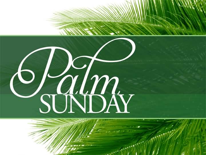 Happy Palm Sunday Wish Pictures Hd Photos Clipart